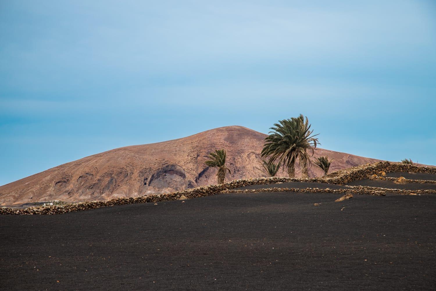 Casa Volcan De Caldera Blanca Тингуатон Экстерьер фото